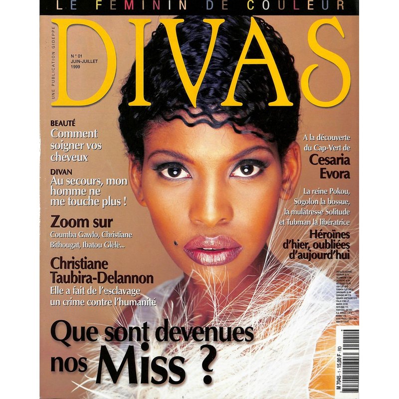 Un aperçu de divaspin